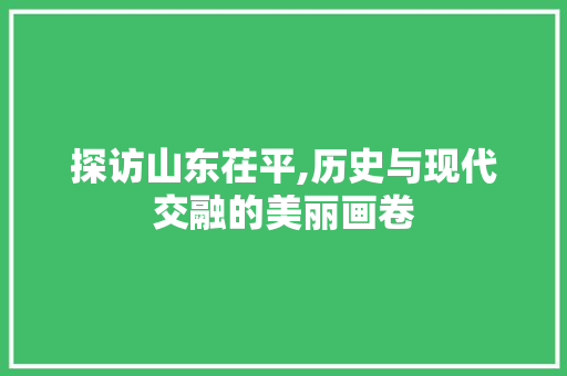 探访山东茌平,历史与现代交融的美丽画卷  第1张