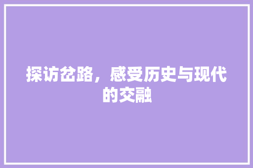 探访岔路，感受历史与现代的交融