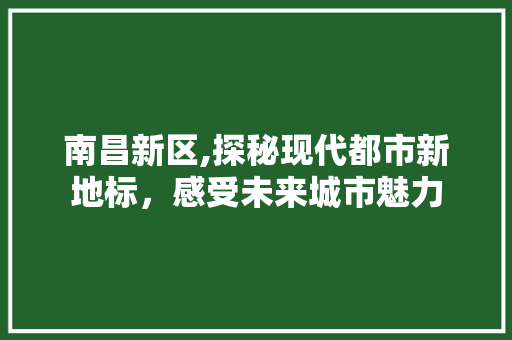 南昌新区,探秘现代都市新地标，感受未来城市魅力