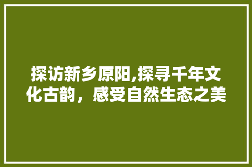 探访新乡原阳,探寻千年文化古韵，感受自然生态之美