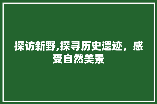 探访新野,探寻历史遗迹，感受自然美景  第1张