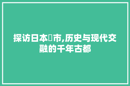 探访日本堺市,历史与现代交融的千年古都