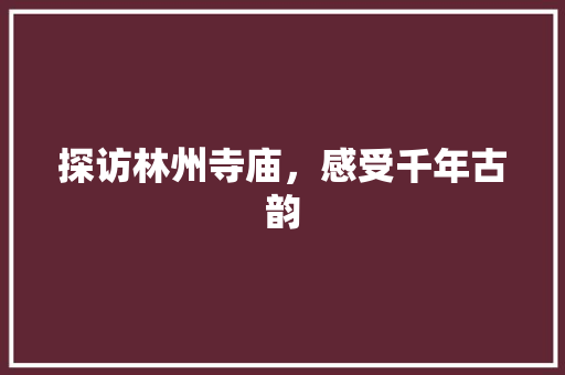 探访林州寺庙，感受千年古韵  第1张