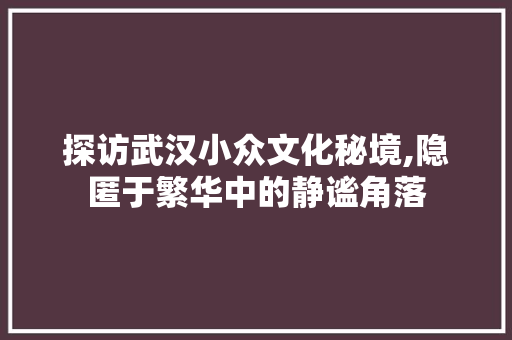 探访武汉小众文化秘境,隐匿于繁华中的静谧角落  第1张