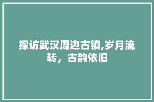 探访武汉周边古镇,岁月流转，古韵依旧