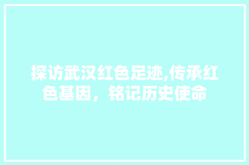 探访武汉红色足迹,传承红色基因，铭记历史使命