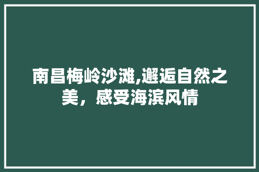 南昌梅岭沙滩,邂逅自然之美，感受海滨风情