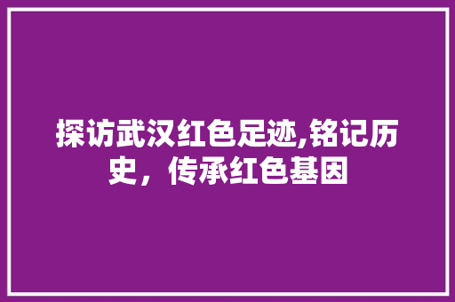 探访武汉红色足迹,铭记历史，传承红色基因