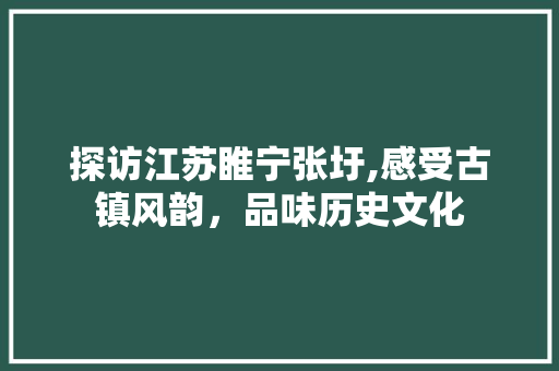 探访江苏睢宁张圩,感受古镇风韵，品味历史文化