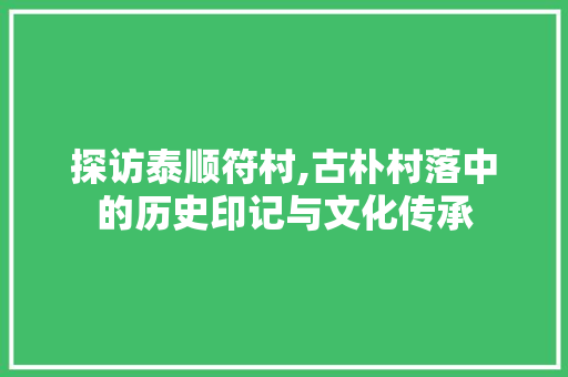 探访泰顺符村,古朴村落中的历史印记与文化传承  第1张