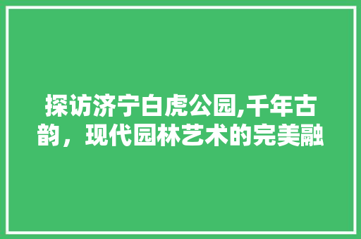 探访济宁白虎公园,千年古韵，现代园林艺术的完美融合  第1张