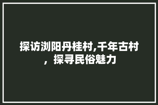 探访浏阳丹桂村,千年古村，探寻民俗魅力  第1张