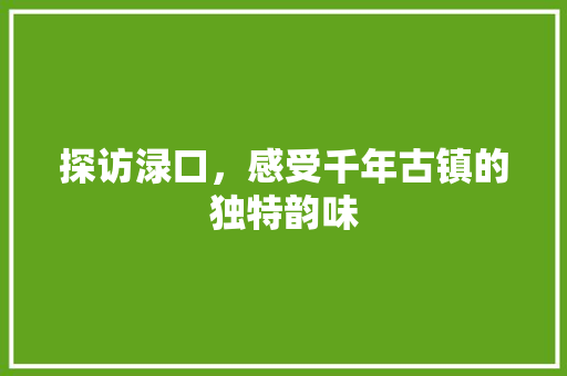 探访渌口，感受千年古镇的独特韵味  第1张