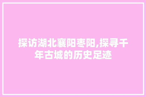 探访湖北襄阳枣阳,探寻千年古城的历史足迹  第1张