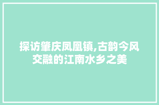 探访肇庆凤凰镇,古韵今风交融的江南水乡之美  第1张