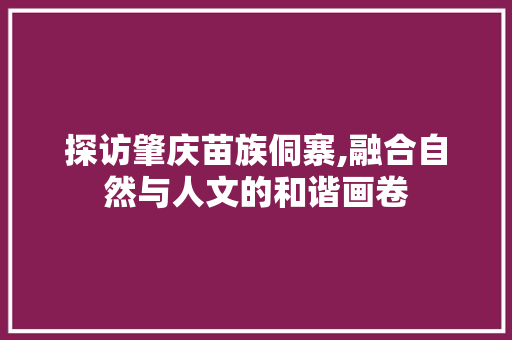 探访肇庆苗族侗寨,融合自然与人文的和谐画卷  第1张