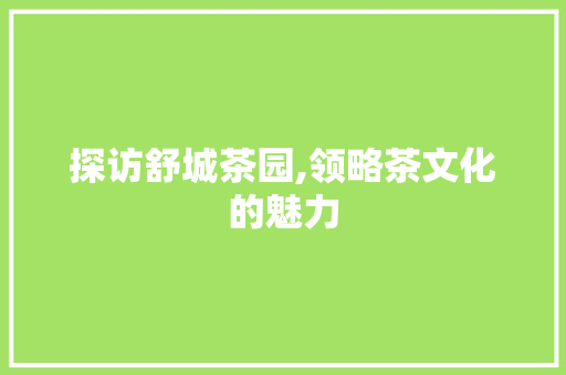 探访舒城茶园,领略茶文化的魅力