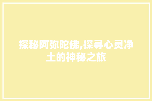 探秘阿弥陀佛,探寻心灵净土的神秘之旅