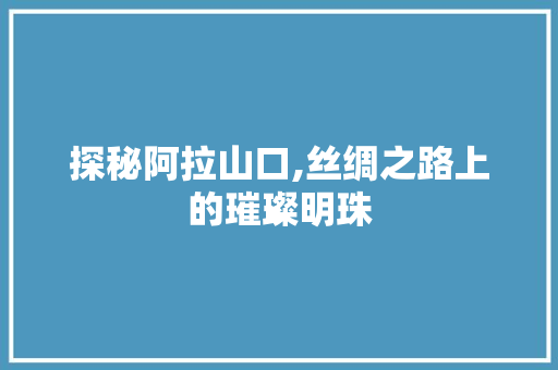 探秘阿拉山口,丝绸之路上的璀璨明珠