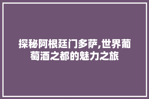 探秘阿根廷门多萨,世界葡萄酒之都的魅力之旅  第1张