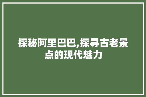 探秘阿里巴巴,探寻古老景点的现代魅力