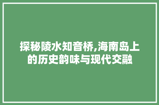 探秘陵水知音桥,海南岛上的历史韵味与现代交融