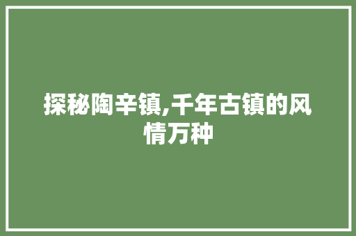 探秘陶辛镇,千年古镇的风情万种