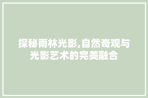 探秘雨林光影,自然奇观与光影艺术的完美融合