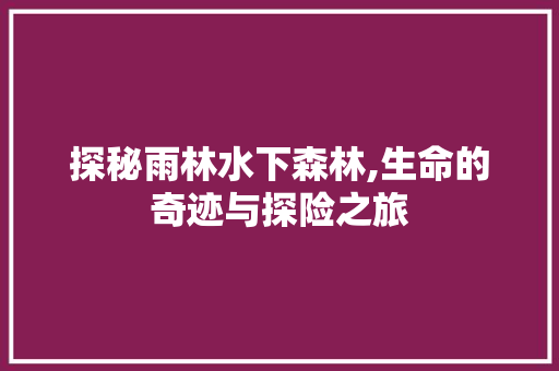 探秘雨林水下森林,生命的奇迹与探险之旅