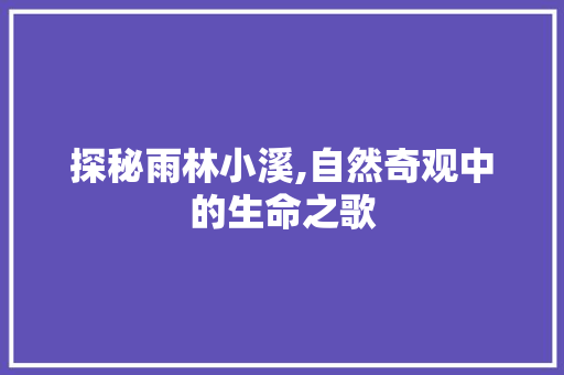 探秘雨林小溪,自然奇观中的生命之歌