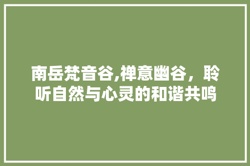 南岳梵音谷,禅意幽谷，聆听自然与心灵的和谐共鸣