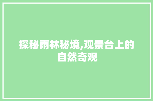 探秘雨林秘境,观景台上的自然奇观