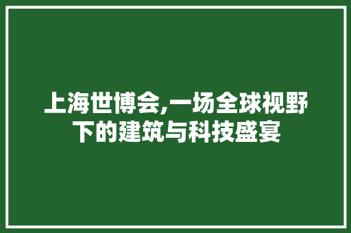 上海世博会,一场全球视野下的建筑与科技盛宴