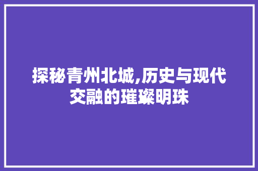 探秘青州北城,历史与现代交融的璀璨明珠