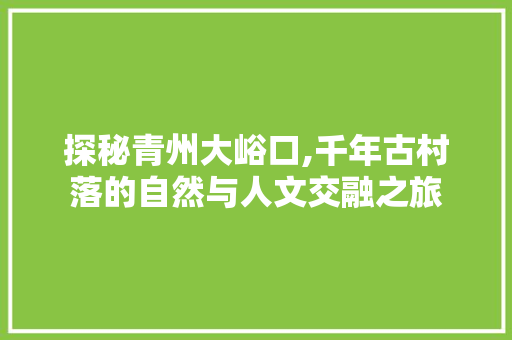 探秘青州大峪口,千年古村落的自然与人文交融之旅