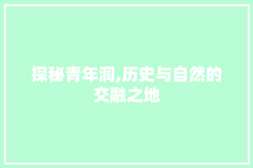 探秘青年洞,历史与自然的交融之地