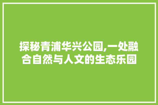 探秘青浦华兴公园,一处融合自然与人文的生态乐园