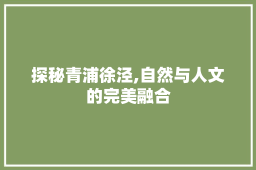 探秘青浦徐泾,自然与人文的完美融合  第1张