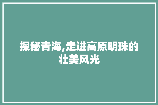 探秘青海,走进高原明珠的壮美风光  第1张