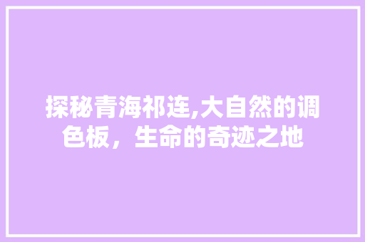 探秘青海祁连,大自然的调色板，生命的奇迹之地