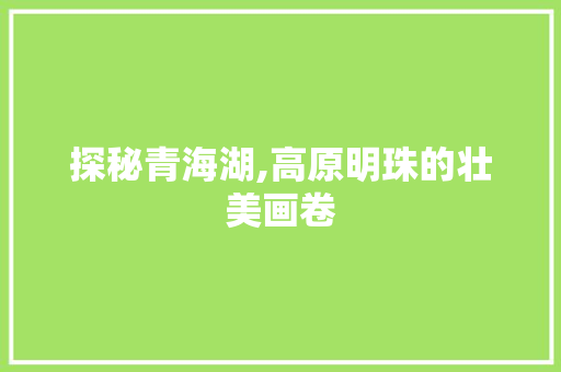 探秘青海湖,高原明珠的壮美画卷