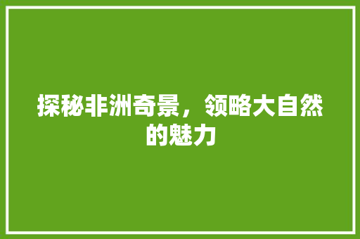 探秘非洲奇景，领略大自然的魅力  第1张