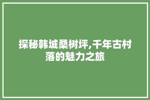 探秘韩城桑树坪,千年古村落的魅力之旅