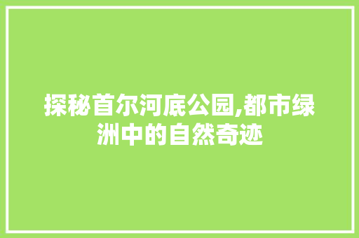 探秘首尔河底公园,都市绿洲中的自然奇迹