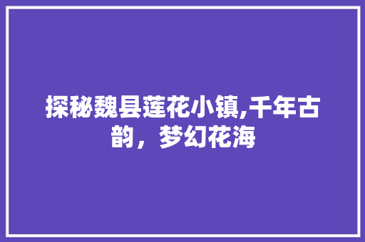 探秘魏县莲花小镇,千年古韵，梦幻花海  第1张