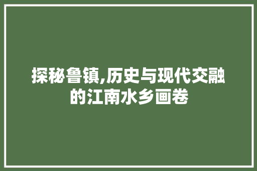 探秘鲁镇,历史与现代交融的江南水乡画卷  第1张