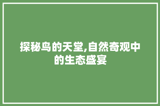 探秘鸟的天堂,自然奇观中的生态盛宴