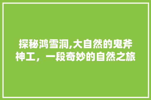 探秘鸿雪洞,大自然的鬼斧神工，一段奇妙的自然之旅