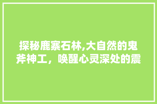 探秘鹿寨石林,大自然的鬼斧神工，唤醒心灵深处的震撼  第1张