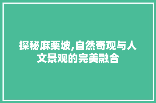 探秘麻栗坡,自然奇观与人文景观的完美融合